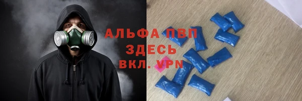 хмурый Белокуриха