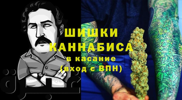 хмурый Белокуриха