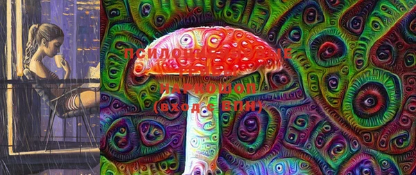 хмурый Белокуриха