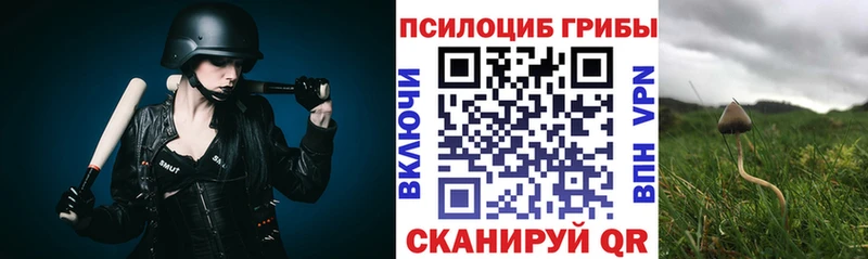 Псилоцибиновые грибы GOLDEN TEACHER  Гулькевичи 