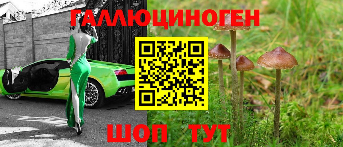 Гулькевичи  Псилоцибиновые грибы MAGIC MUSHROOMS  Вход с VPN  Галлюциногенные грибы GOLDEN TEACHER 