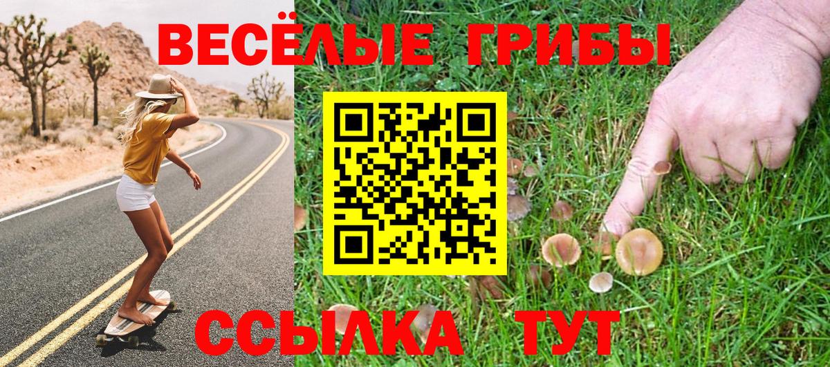 Галлюциногенные грибы Psilocybine cubensis  купить наркотик  Гулькевичи 