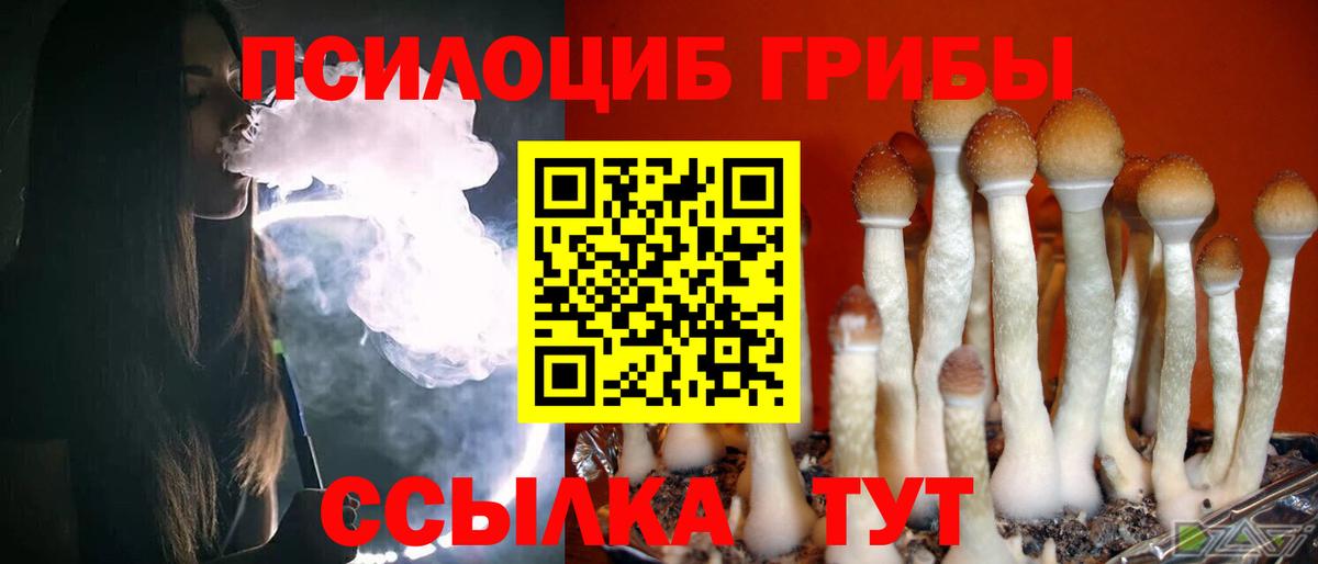 Псилоцибиновые грибы мицелий Гулькевичи